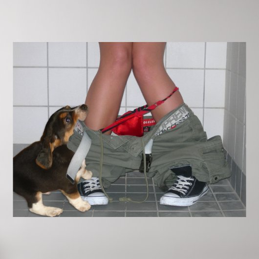 Poster Attrapé avec mon pantalon à nouveau, mignon chien  (Devant)