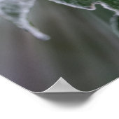 Poster attrapé par le gel (Coin)