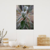 Poster attrapé par le gel (Cuisine)