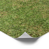 Poster Attraper le vent (Coin)