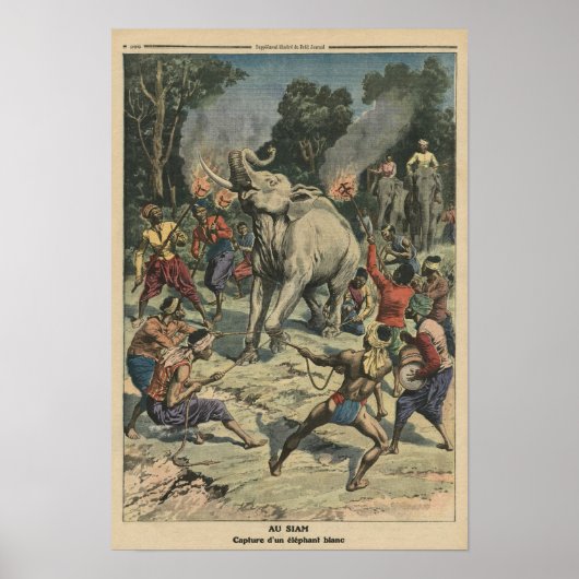 Poster Attraper un éléphant blanc à Siam (Devant)