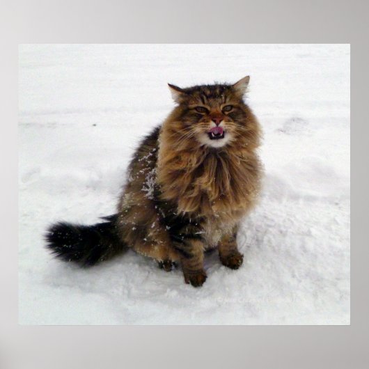 Poster Attraper un flocon de neige (Devant)