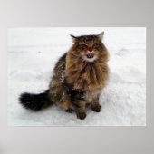 Poster Attraper un flocon de neige (Devant)