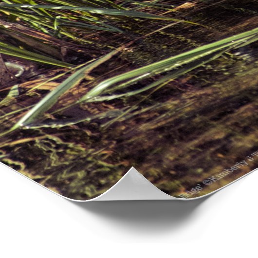 Poster Au bord de l'étang (Coin)