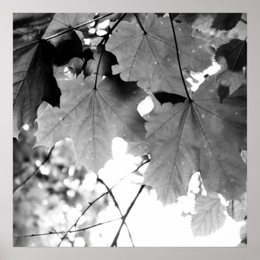 Poster Au-dessus (Devant)