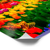 POSTER AU-DESSUS DE LA COUPE DE PLUIE (Coin)