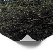 Poster Au-Dessus Du Parc (Coin)