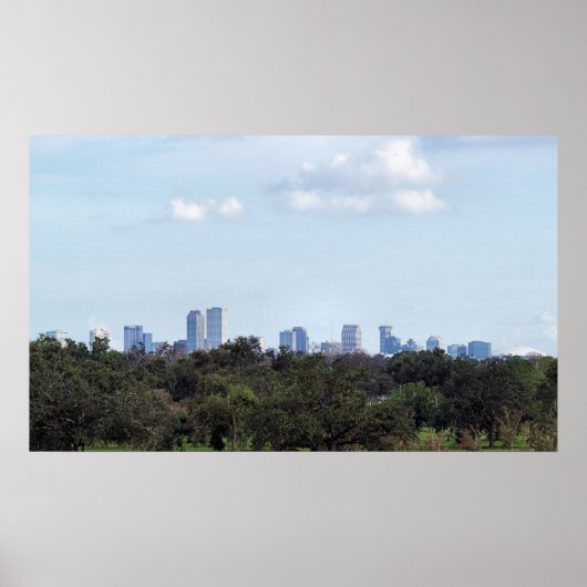 Poster Au-Dessus Du Parc (Devant)