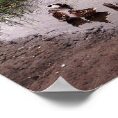 Poster Au marais.... (Coin)