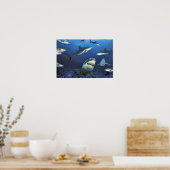 Poster Au milieu des requins (Cuisine)