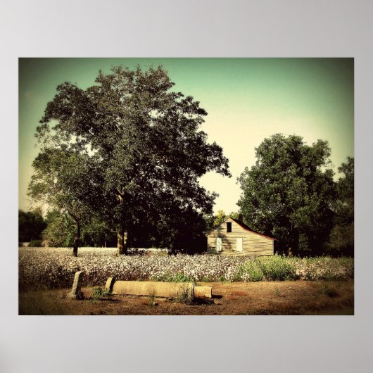 Poster Au milieu du coton (Devant)