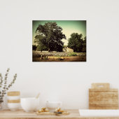 Poster Au milieu du coton (Cuisine)