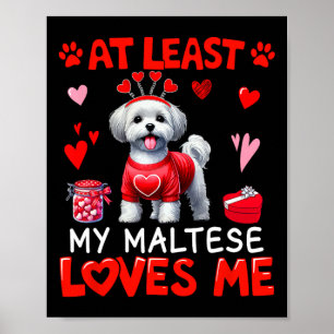 Poster Au moins mon maltais m'aimant la Saint-Valentin en