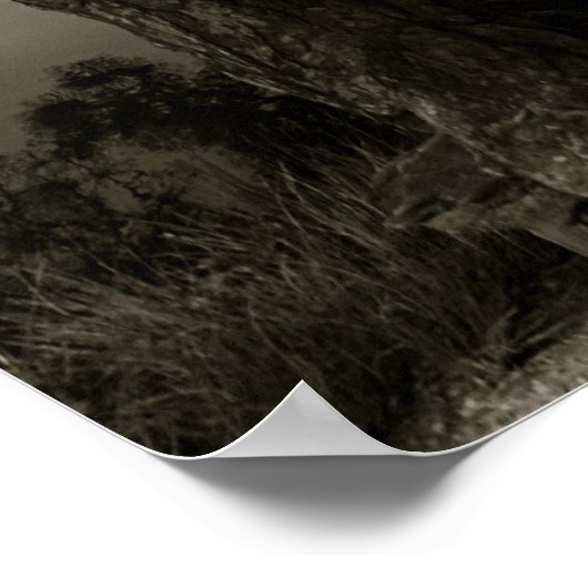 Poster Au parc (Coin)