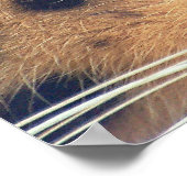 Poster Au revoir... (Coin)