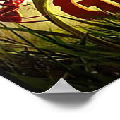 Poster Au sol (Coin)