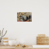 Poster Au soleil (Cuisine)
