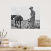 Poster Au travail dans le coton (Cuisine)