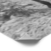 Poster Au travail dans le coton (Coin)