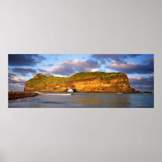 Poster Au Wall On The Wild Coast (Devant)