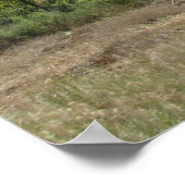 Poster Aucun domaine éminent en Iowa (Coin)