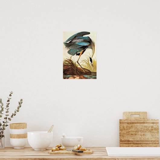  Poster Audubon (Keuken)
