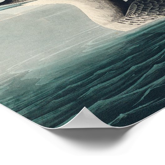 Poster Audubon Bird Loon Diver Classic (Coin)