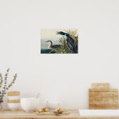 Poster Audubon Bird Loon Diver Classique (Cuisine)