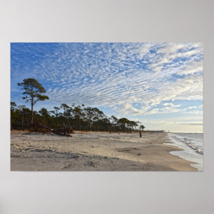 Poster Audubon Bird Refuge Beach, Dauphin Island, Alabama