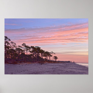 Poster Audubon Bird Sanctuary Beach à Dawn, Alabama
