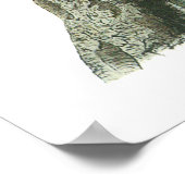 Poster Audubon Blue Jay (Coin)