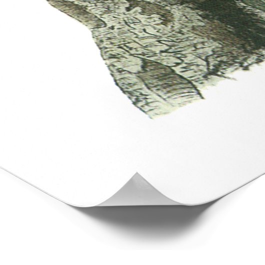 Poster Audubon Blue Jay (Coin)