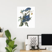 Poster Audubon Blue Jay (Bureau à domicile)