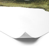 Poster Audubon California Condor (Coin)