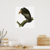 Poster Audubon California Condor (Cuisine)