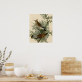 Poster Audubon Cèdre cire oiseau (Cuisine)