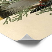 Poster Audubon Cèdre cire oiseau (Coin)