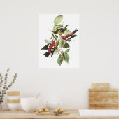 Poster Audubon Crossbill (Cuisine)