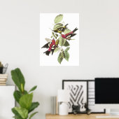 Poster Audubon Crossbill (Bureau à domicile)