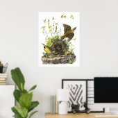 Poster Audubon Eastern Meadowlard (Bureau à domicile)