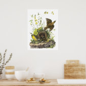 Poster Audubon Eastern Meadowlard (Cuisine)
