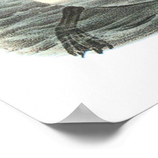 Poster Audubon Great Auk (Coin)