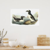 Poster Audubon Great Auk (Cuisine)