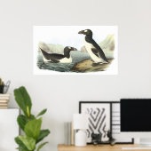 Poster Audubon Great Auk (Bureau à domicile)