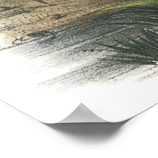 Poster Audubon Heron (Coin)