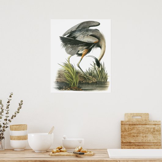 Poster Audubon Heron (Cuisine)