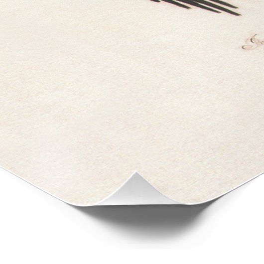 Poster Audubon Ivory-Billed (Coin)