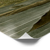 Poster Audubon Louisiana Heron Birds America Art (Coin)