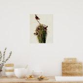 Poster Audubon Marsh Wren Bird Art (Cuisine)