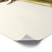 Poster Audubon Marsh Wren Bird Art (Coin)